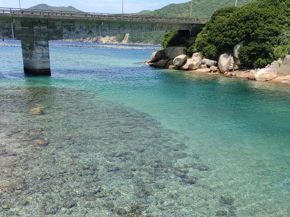 柏島