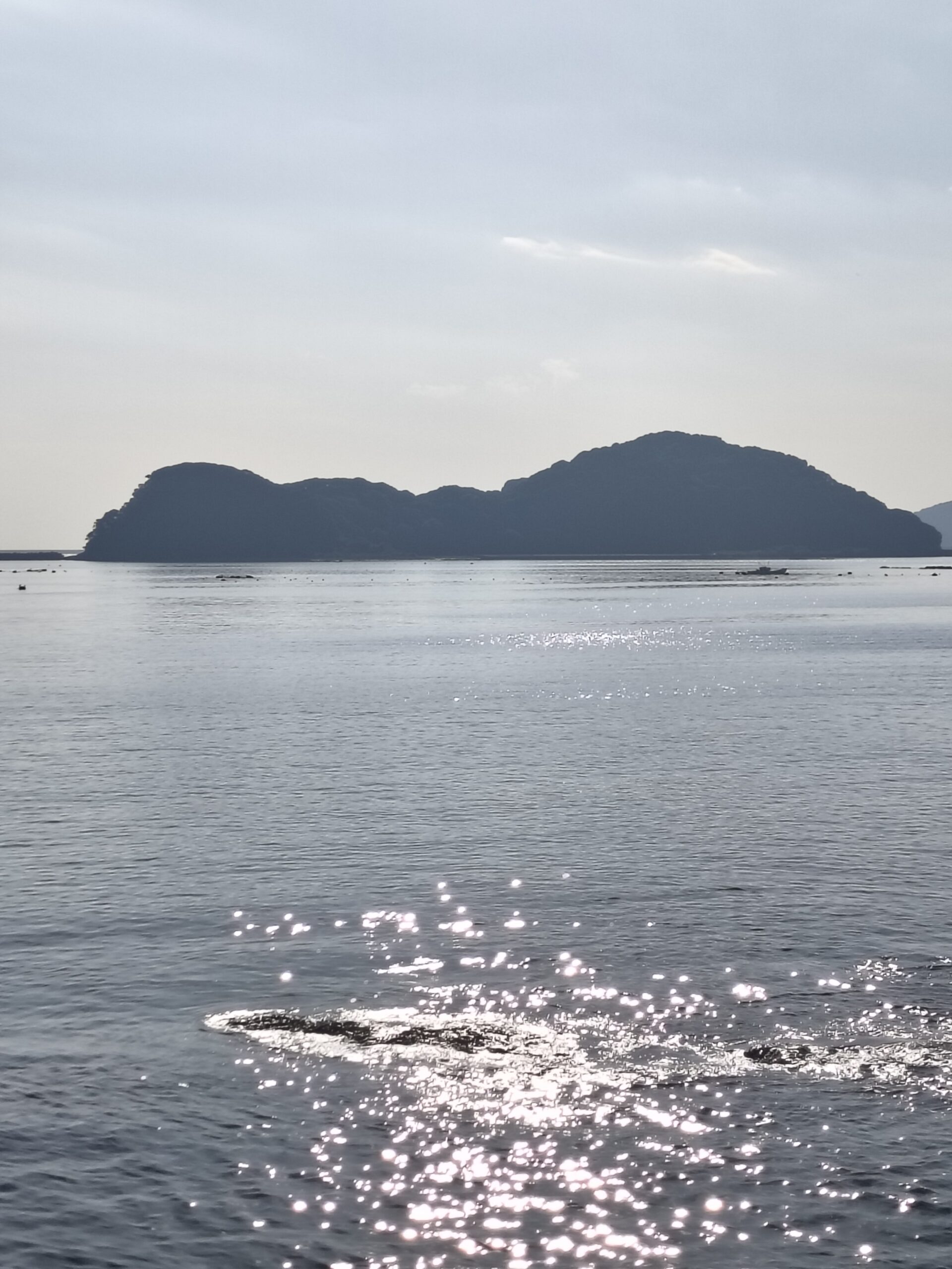 乙島（無人島）