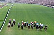 ＪＲＡ新潟競馬場