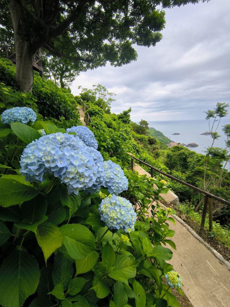 桃源郷岬