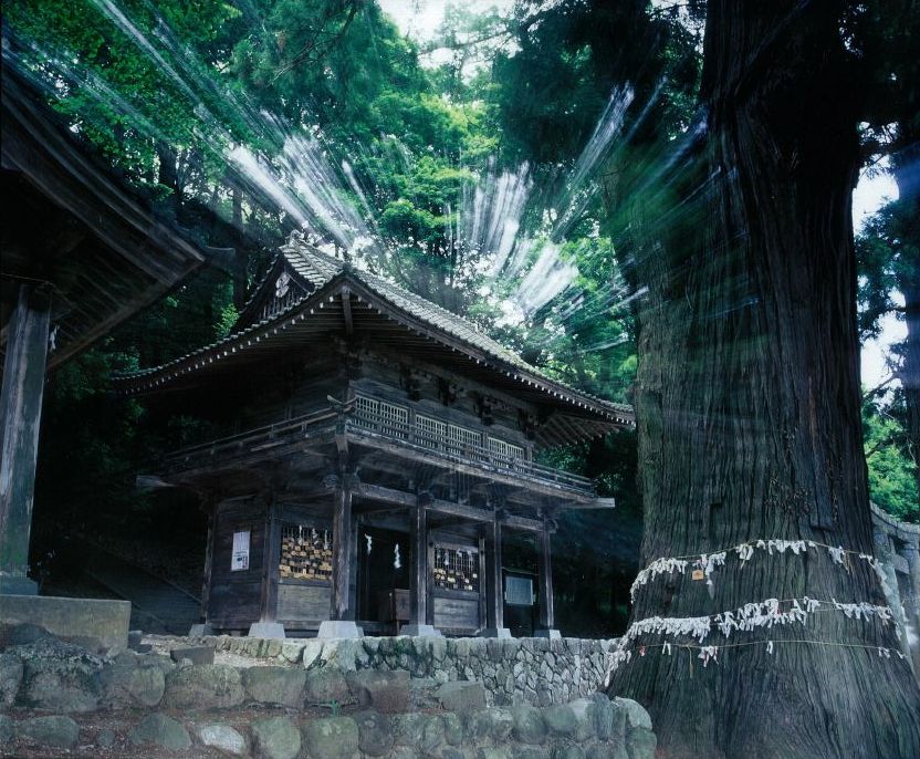武田八幡宮