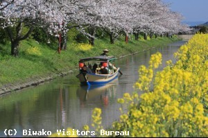 水郷めぐり