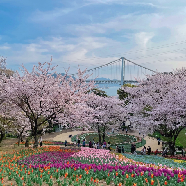 火の山公園