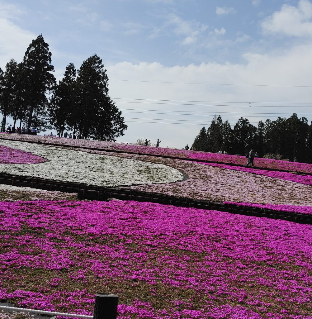 羊山公園