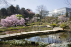高知県立牧野植物園