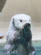 鳥羽水族館
